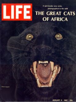 Life magazine cover - January 1967